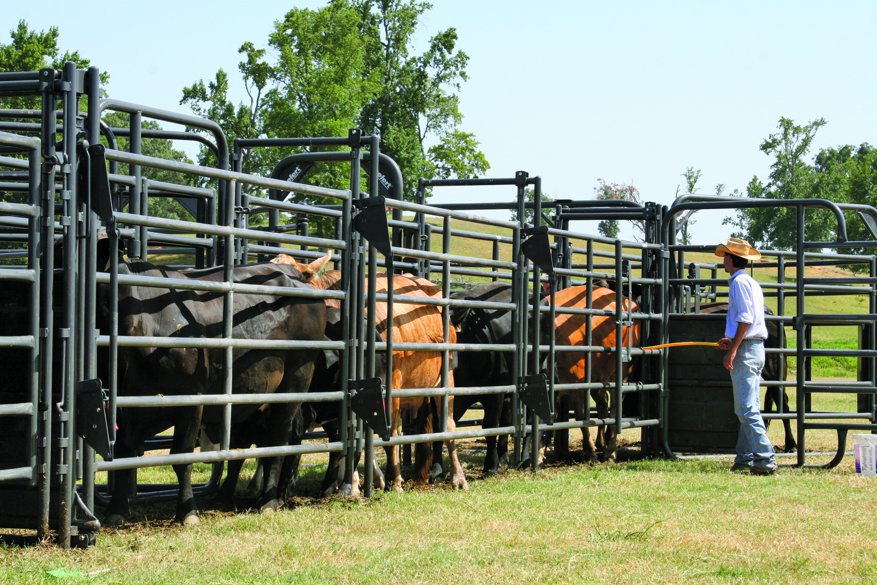 Rough Stock Sweep RSOS 12 07.JPG